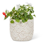 🌼 Sweet Briar Large White Daisy Round Planter – 4.5"H