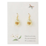 🌸 Sweet Briar White Dried Flower Teardrop Earrings