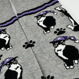 🐱🧦 Fancy Feet Ahead!