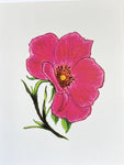 Note Card - Sweet Briar Rose