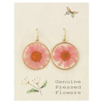 🌸 Pink Chrysanthemum Dried Flower Earrings