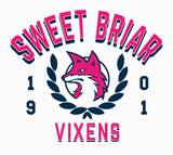 🌸 Toddler Sweet Briar Vixens Tee-Ash 🌸