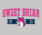 🌸 Youth Hoodie | Sweet Briar Vixens 🌸