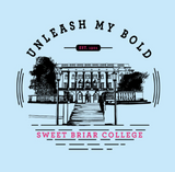 Limited Edition-Short Sleeve V-Neck Tee-Soothing Blue