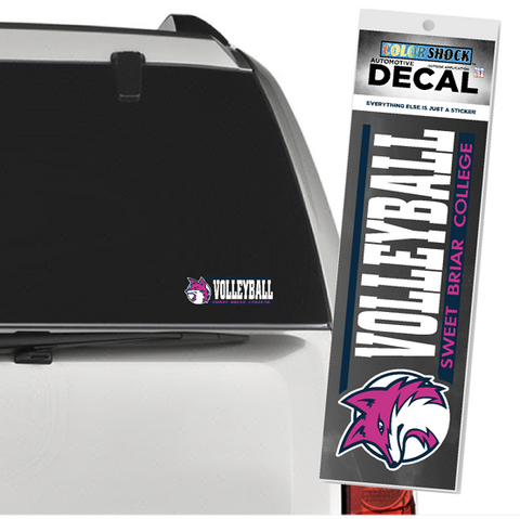Sweet Briar Volleyball Car Decal 🏐💗💚
