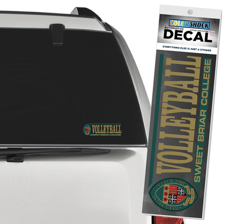 🏐 Show your Vixen pride wherever you drive! Volleyball Car Decal