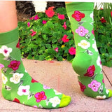🌸💚 Step Into Spring with Pansies!