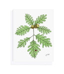 Card - Oak & Ladybug