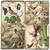 🕊️ Hummingbird II – Tumbled Marble Coasters (Set of 4)