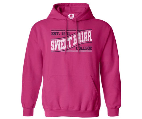 Soft Touch Hooded Sweatshirt - Pink