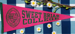 Sweet Briar College Pennant-Pink & Green 12 x 30