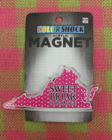 Magnet For Refrigerator Acrylic Polka Dots