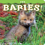 Fox Babies