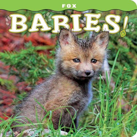 Fox Babies
