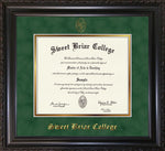 Diploma Frame - Black Vintage Scoop - 2015 or earlier